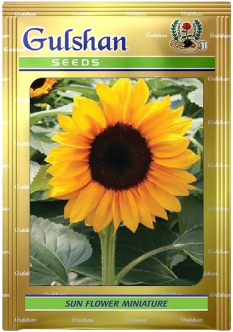 Sunflower Seeds